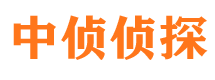 龙文外遇调查取证